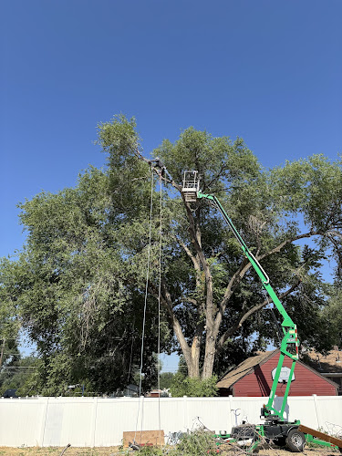 Jenson Tree Service