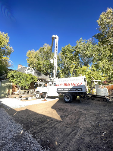 K & C TREE SERVICE EXPERTS