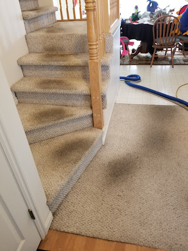 Kelly's Deep Clean Carpet & Upholstery Cleaning