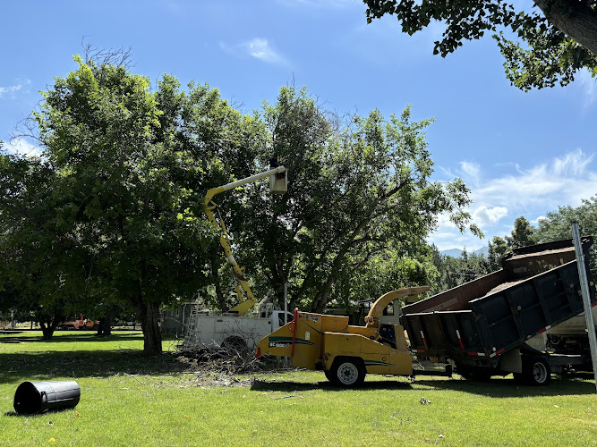 KTM Trees Expert & Landscaping, LLC