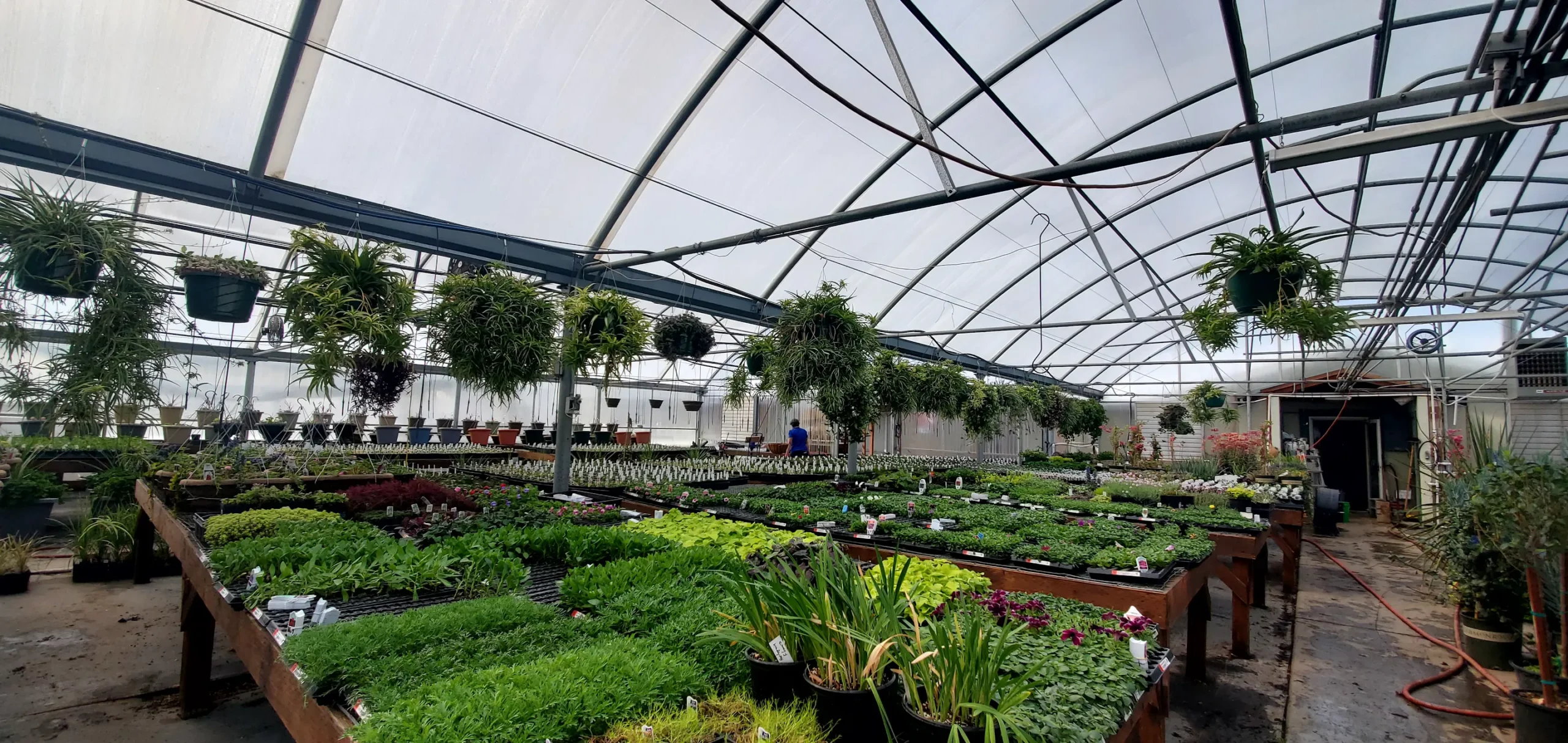 Laura Kay’s Garden Center