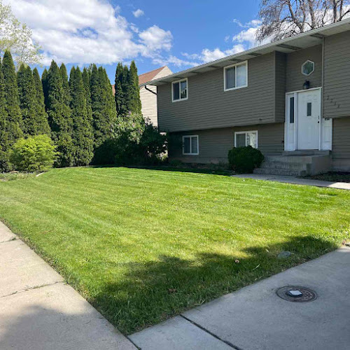 LawnStarter Lawn Care Service