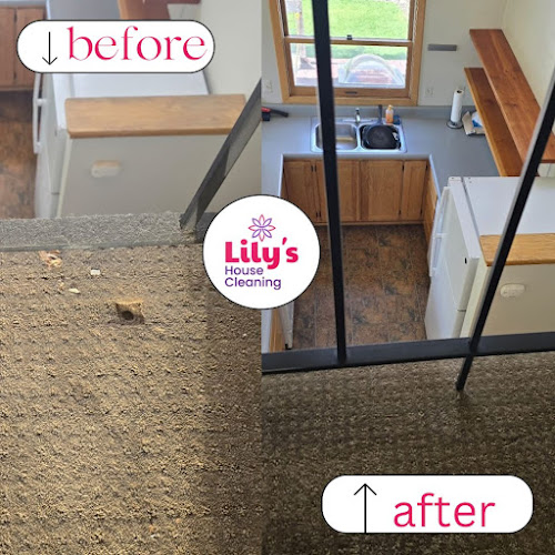 Lily's House Cleaning