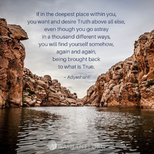 Manifesting Consciousness