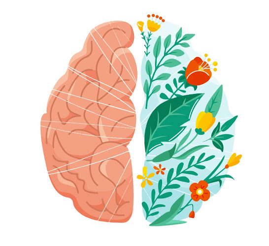 Mountain Pediatric Psychology