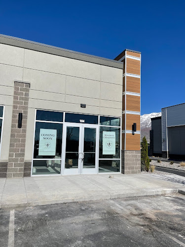 Movement Chiropractic