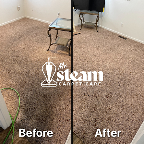 Mr. Steam Carpet Care