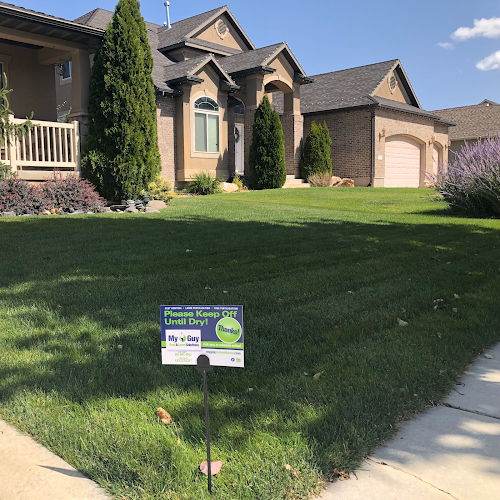 My Guy Pest & Lawn Solutions