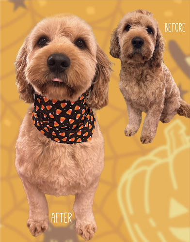 Nails & Tails Dog Grooming LLC