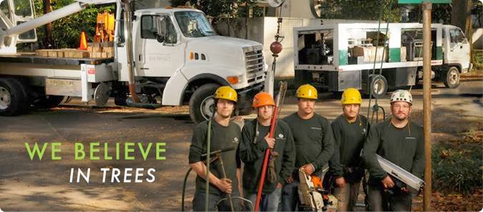 Neighborhood Tree Service