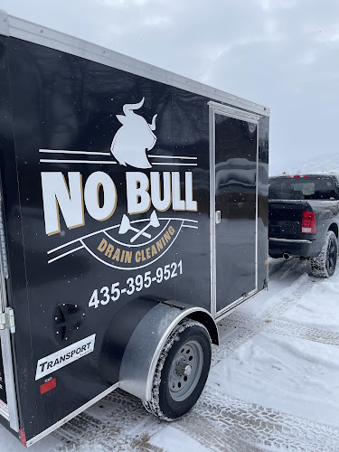 No Bull Drain Cleaning