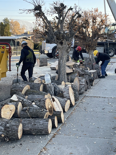 Organic Choice Tree and Lawn Care
