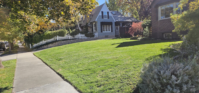 Our Lawn Care and Forster services