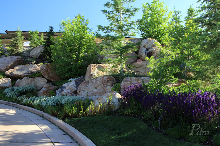 Pendleton Design Management