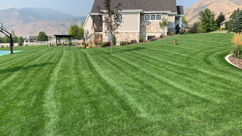 Platinum Lawn Service And Pest