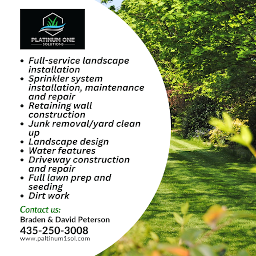 Platinum One Solutions