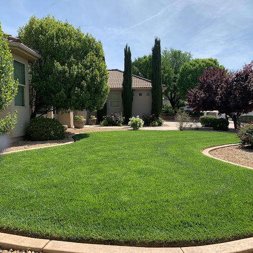 Pristine Green Lawn Care