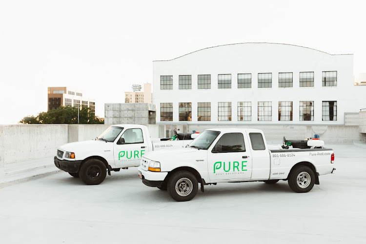 Pure Pest Solutions