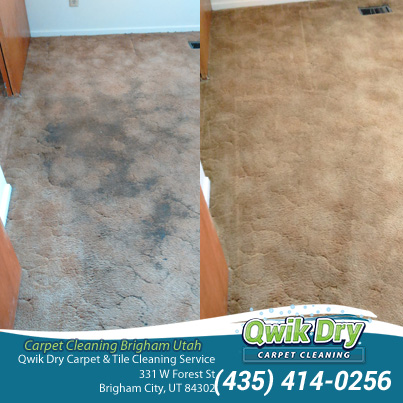 Qwik Dry Carpet & Tile Cleaning Service