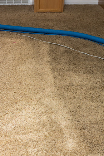 Riley's Carpet Cleaning