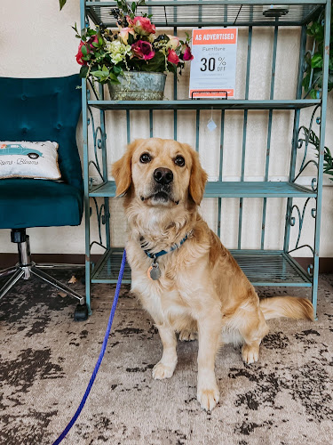 Ruff Pup Dog Training, Grooming and Retail