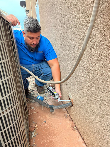 Salisbury Pest Solutions