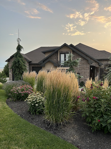 Sand Dogs Landscaping