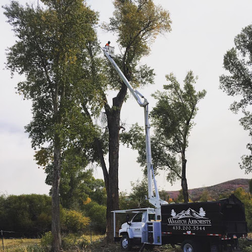 SavATree - Tree Service & Lawn Care