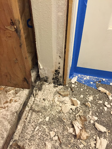 SERVPRO of Cedar City/Fillmore