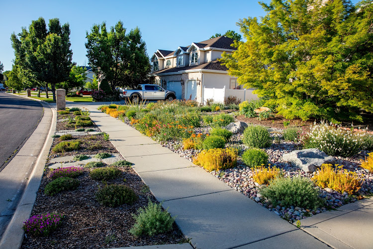 Silver Sage Xeriscape & Design
