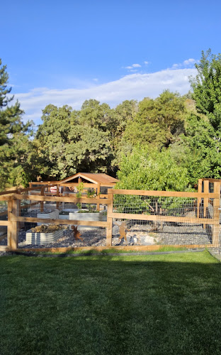 Slate canyon landscaping