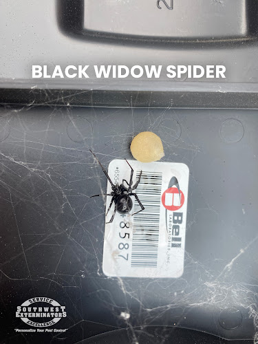 Southwest Exterminators