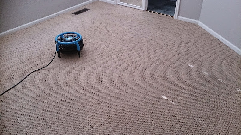 Spring Clean Carpets