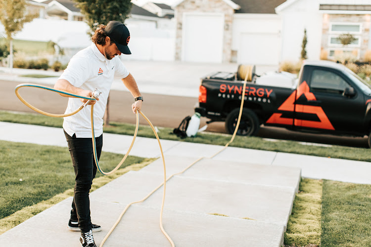 Synergy Pest Control