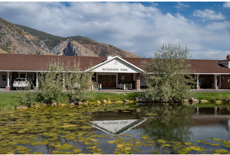 The Mindful Body Massage