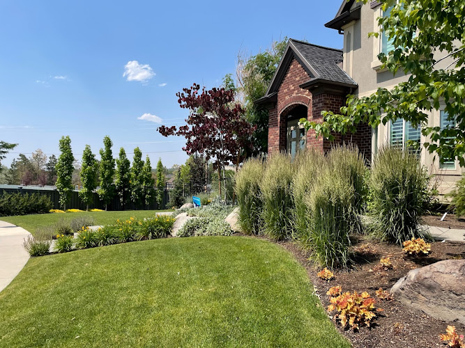 Thrive Landscape Services