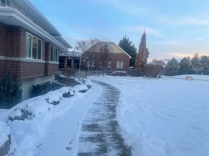 Thriving Mental Health