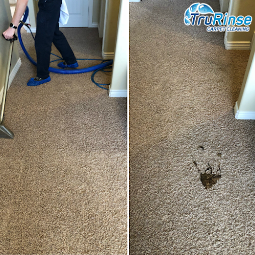 TruRinse® Carpet Cleaning