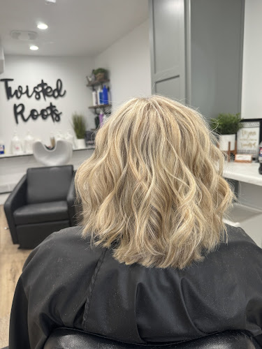 Twisted Roots Salon