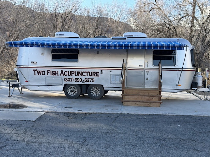 Two Fish Acupuncture
