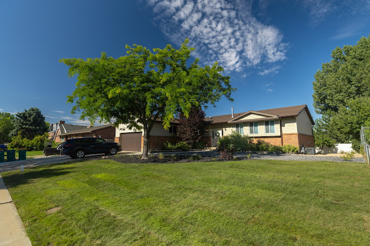 Urban Forest Landscaping