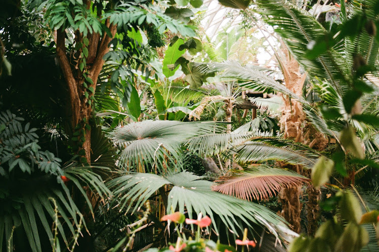 Utah Counseling and Therapy - Dr. Brian Hansen PhD PLLC