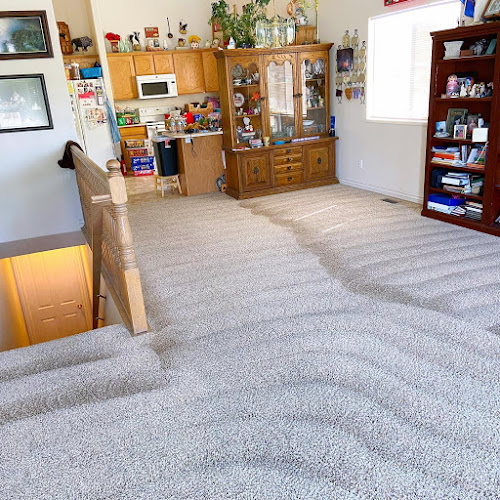 Utah Pros Premium Carpet Cleaning