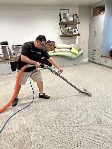 Vital Clean carpet cleaning