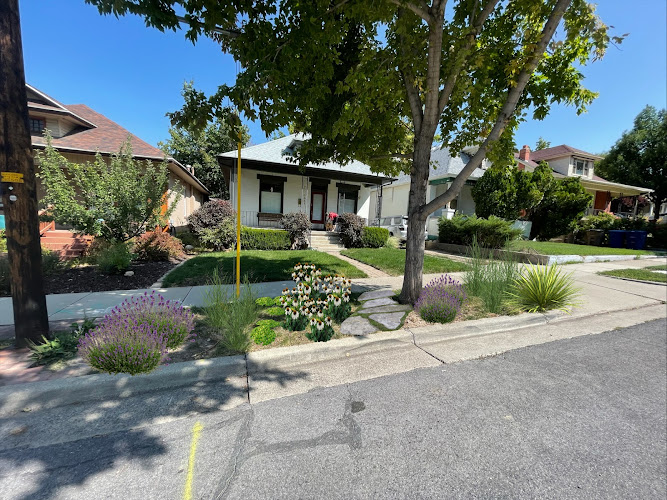 Wildflowers Garden Company