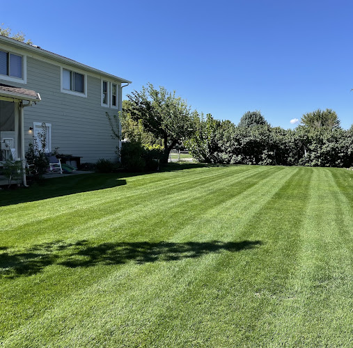 Worry Less Lawn and Landscape