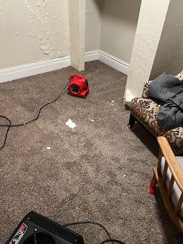 Pure Cleaning and Restoration Specialists